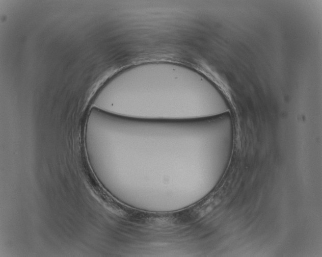 X0000073750107200608171341