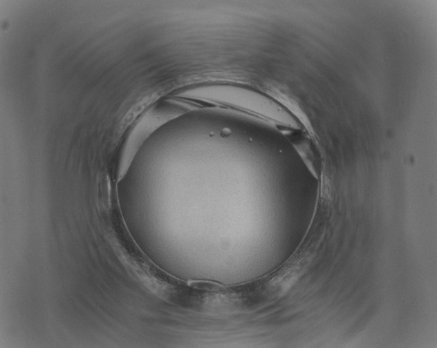 X0000073750109200608171341