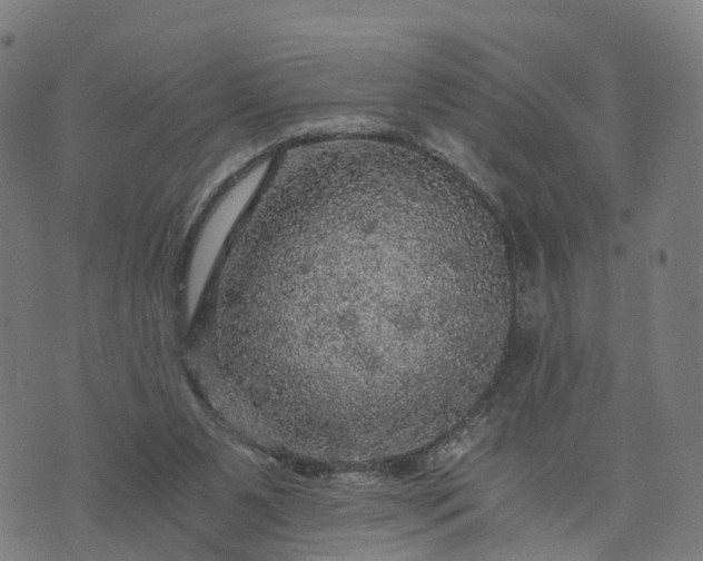 X0000073750111200608171341