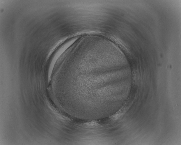 X0000073750112200608171341