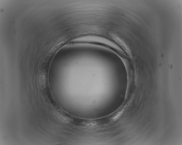 X0000073750113200608171341