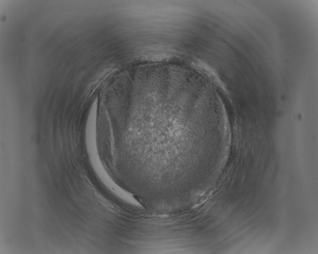 X0000073750114200608171341