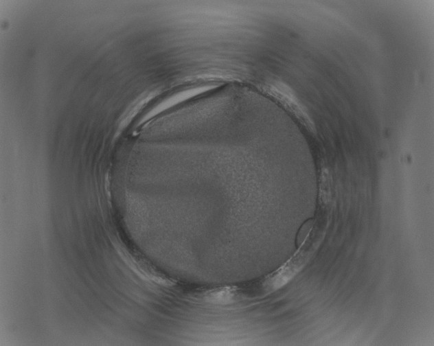 X0000073750116200608171341