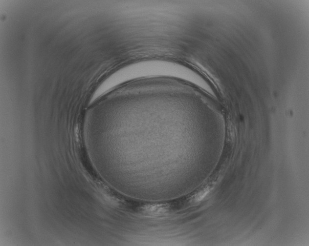 X0000073750117200608171341