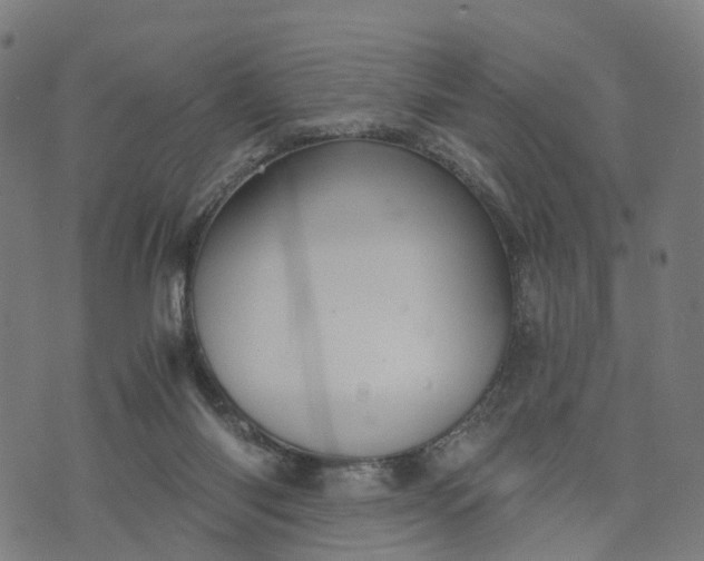 X0000073750118200608171341