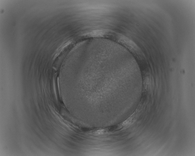 X0000073750120200608171341