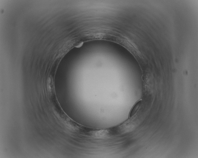 X0000073750122200608171341