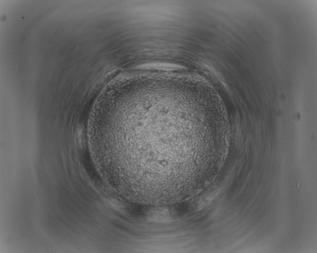 X0000073750123200608171341