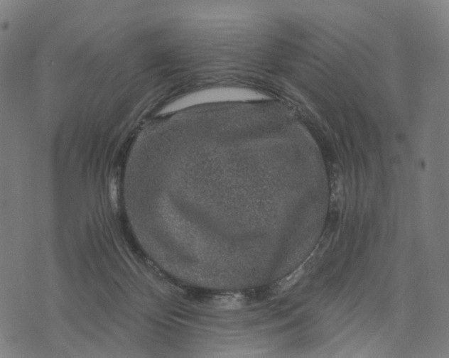 X0000073750124200608171341