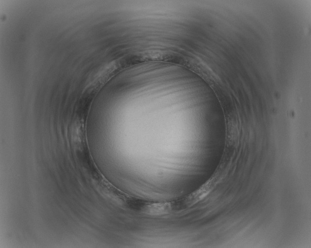 X0000073750126200608171341