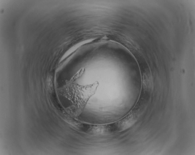 X0000073750127200608171341