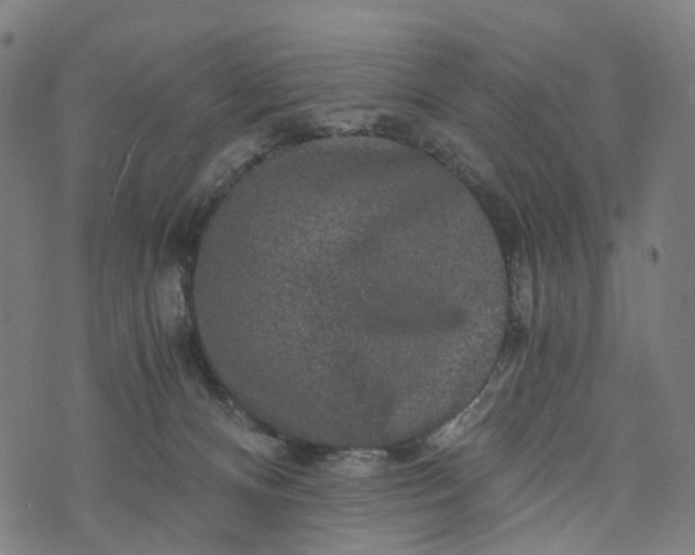 X0000073750128200608171341