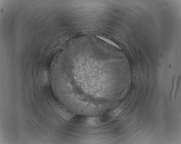 X0000073750130200608171341