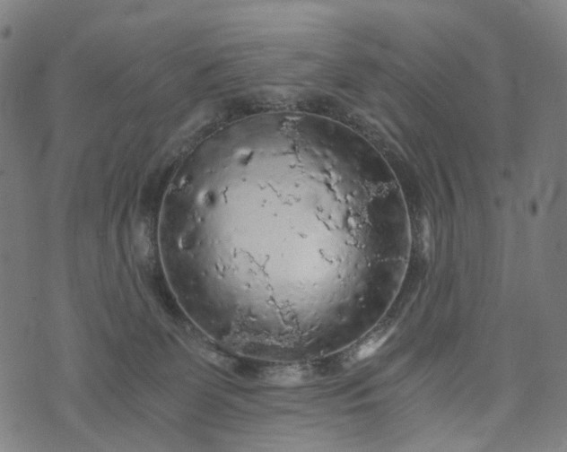 X0000073750131200608171341