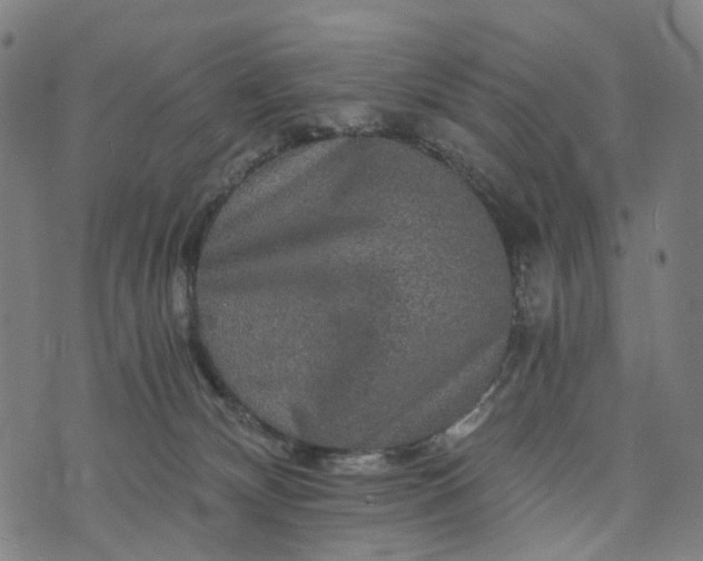 X0000073750132200608171341