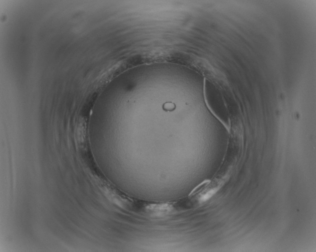 X0000073750133200608171341