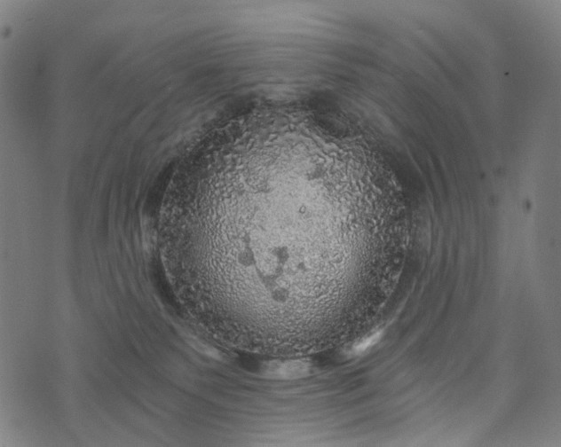 X0000073750135200608171341