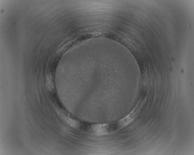 X0000073750136200608171341