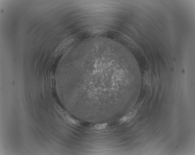 X0000073750138200608171341