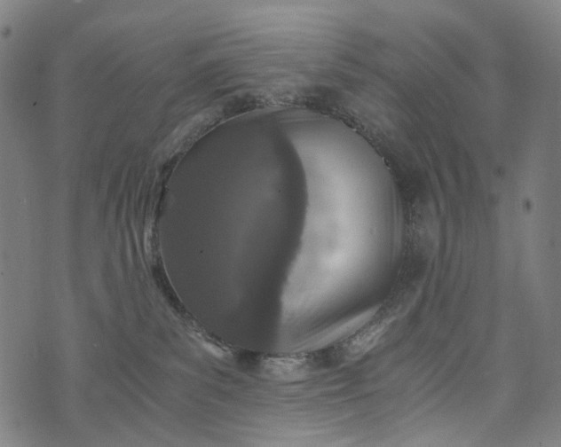 X0000073750139200608171341