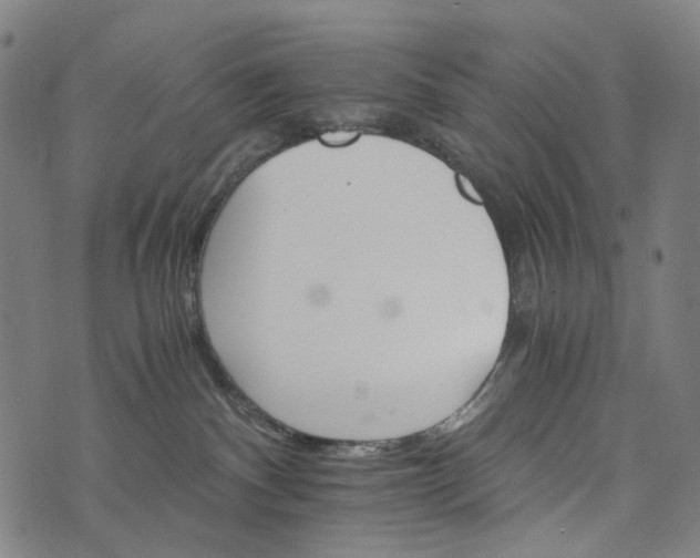 X0000073750140200608171341