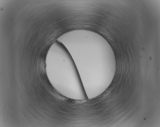 X0000073750143200608171340