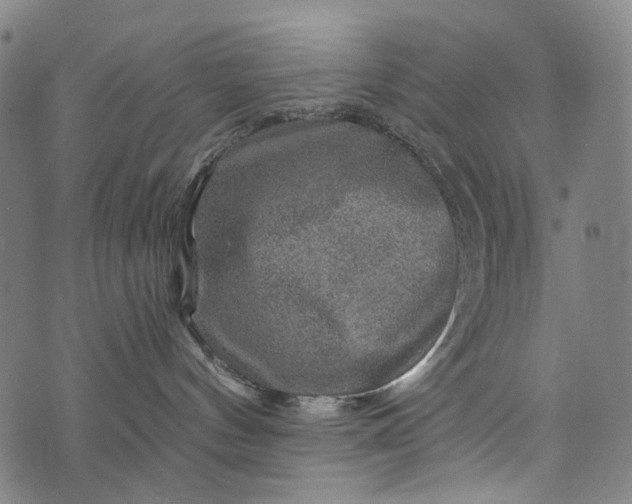 X0000073750144200608171340