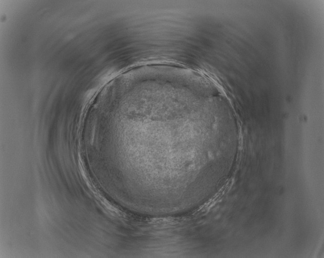 X0000073750145200608171340