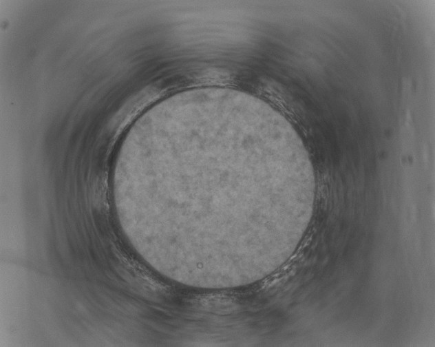 X0000073750146200608171340