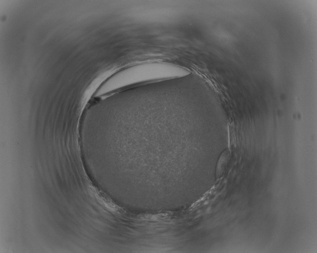 X0000073750147200608171340