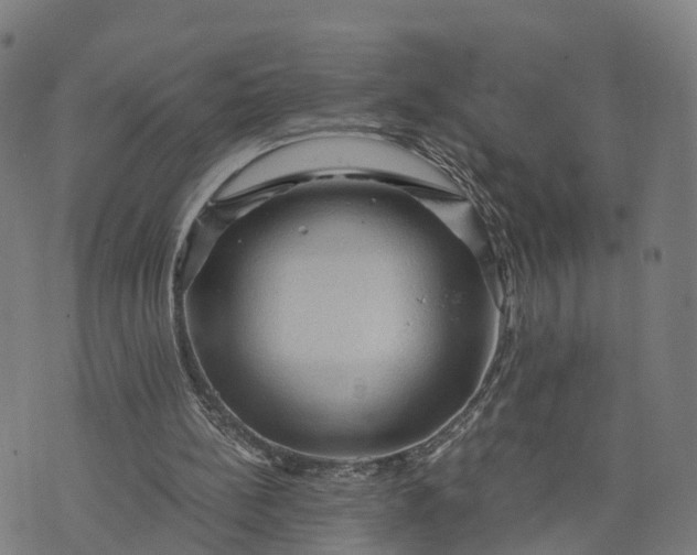 X0000073750148200608171340