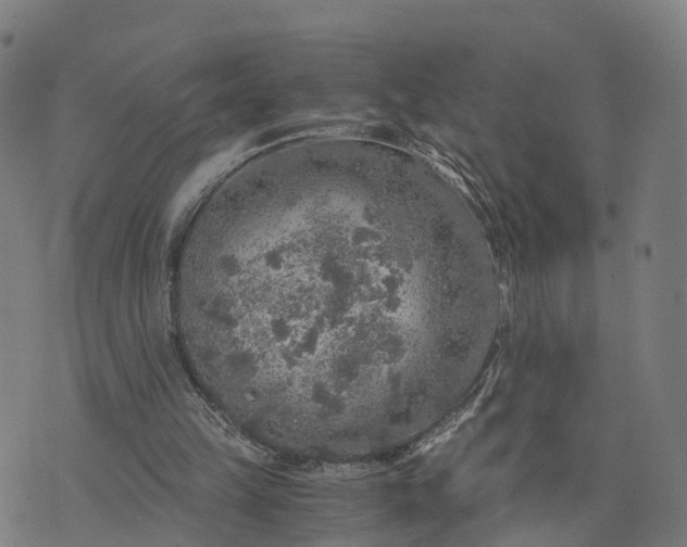 X0000073750149200608171340