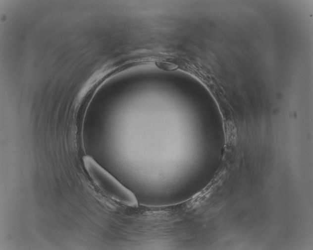 X0000073750150200608171340