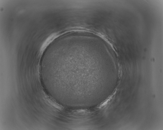 X0000073750151200608171340