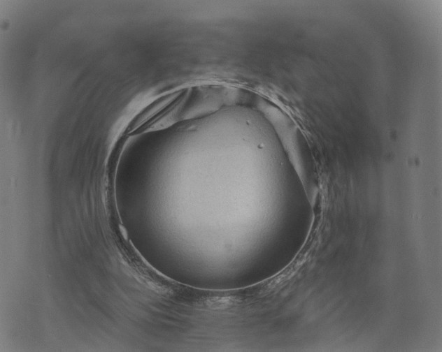 X0000073750152200608171340