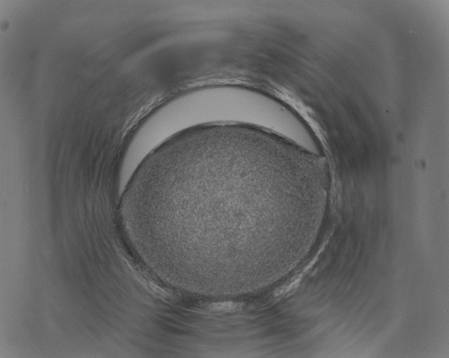 X0000073750153200608171340