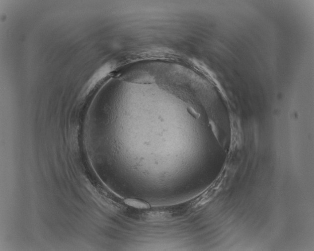 X0000073750154200608171340