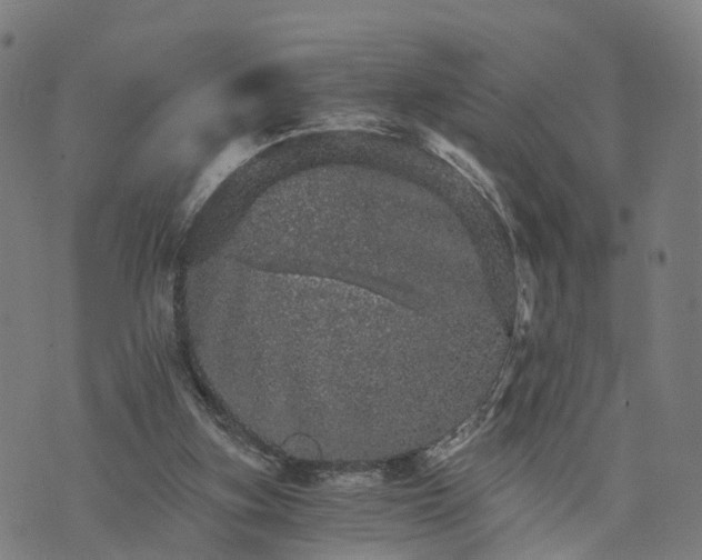 X0000073750155200608171340