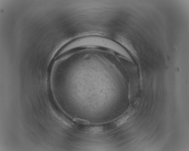 X0000073750156200608171340