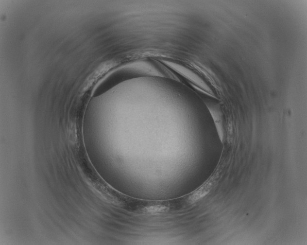 X0000073750158200608171340