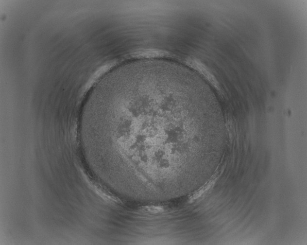 X0000073750159200608171340