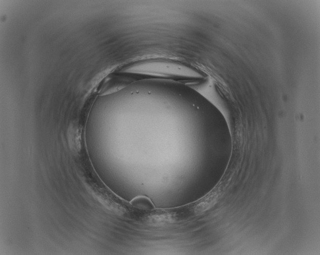 X0000073750160200608171340