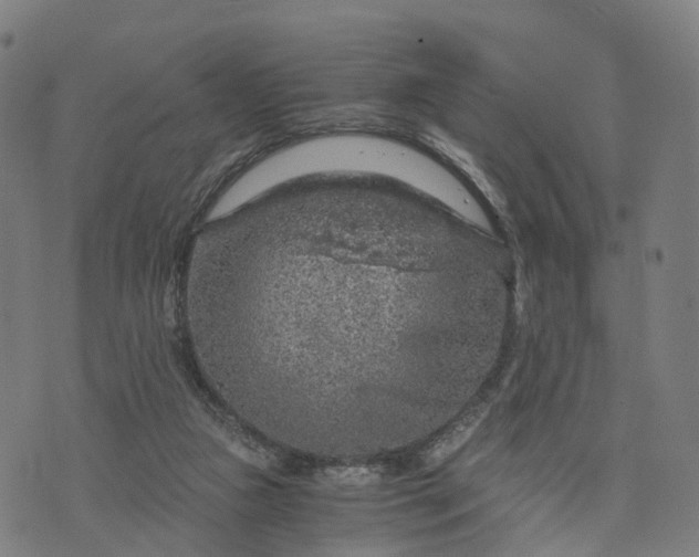 X0000073750161200608171340