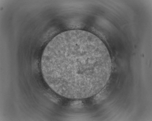 X0000073750162200608171340