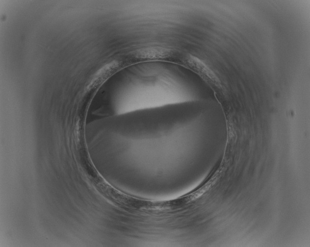 X0000073750163200608171340