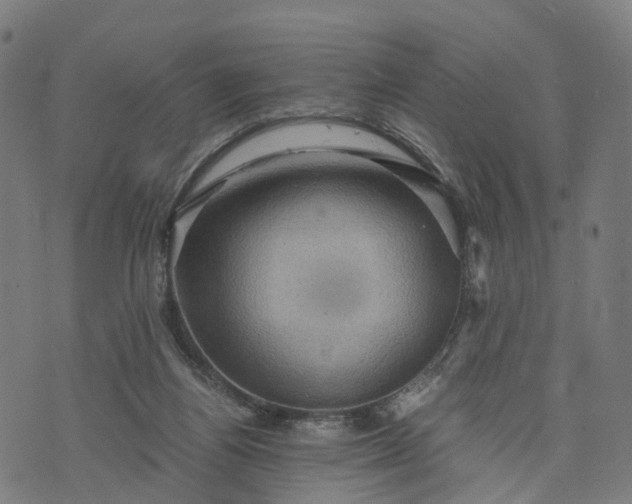 X0000073750164200608171340