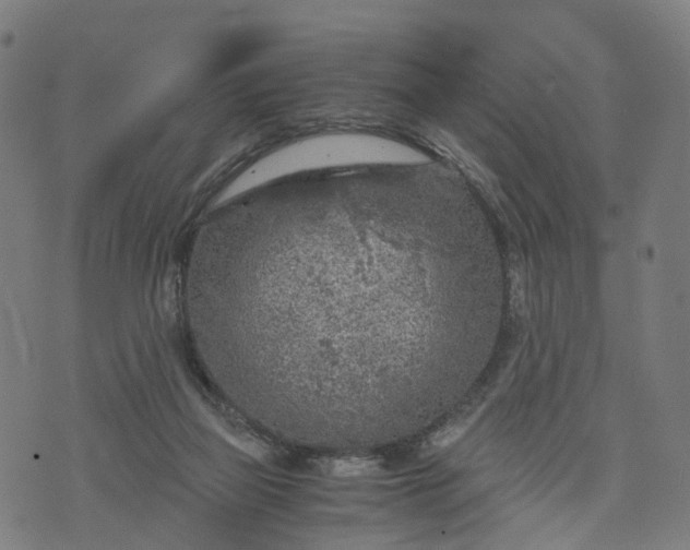 X0000073750165200608171340