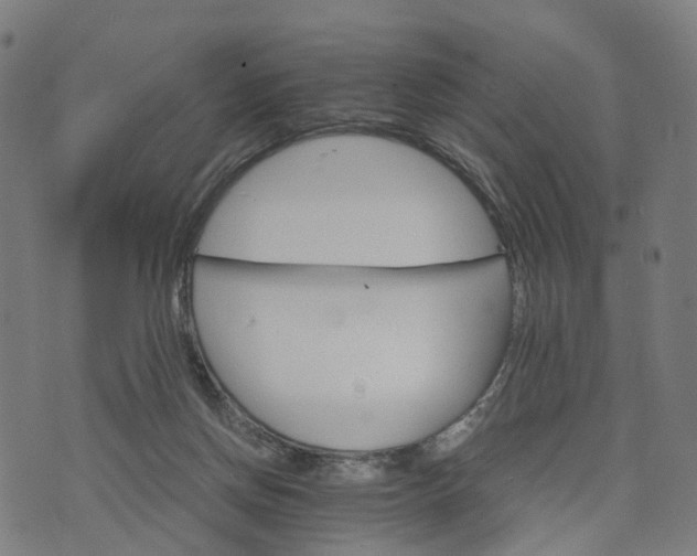 X0000073750166200608171340