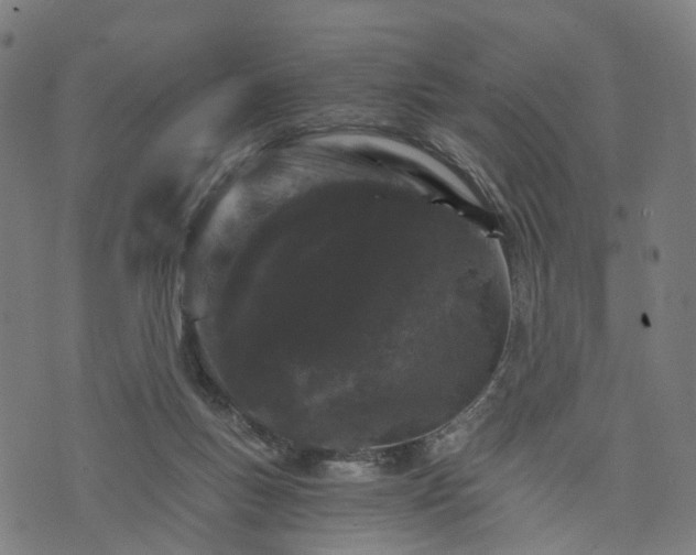 X0000073750167200608171340