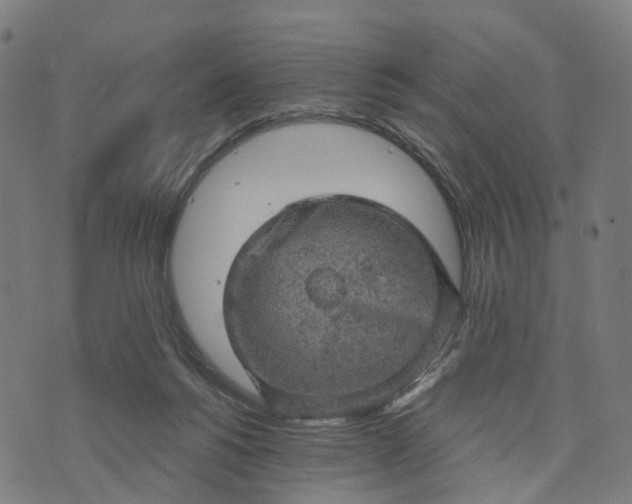 X0000073750168200608171340